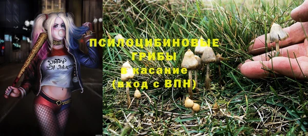 ALPHA PVP Армянск
