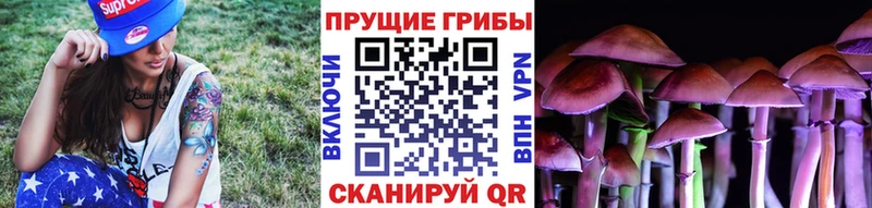 Псилоцибиновые грибы Magic Shrooms  Усть-Джегута 